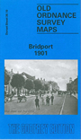 Dt 38.10  Bridport 1901