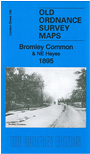 L 156.2  Bromley Common 1895