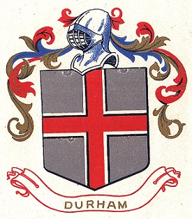 Old Ordnance Survey Maps Dipton near Consett Durham  1916 Sheet 11.08 Brand New 